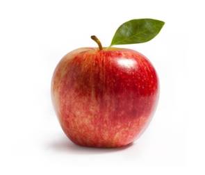 Incentive: Äpfel ernten mit Also und Mitel 