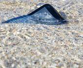 Smartphone schwimmt im Wasser