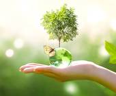 Eco Rating