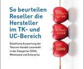 So beurteilen Reseller die TK-/UC-Branche (2021)