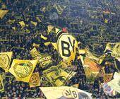 BVB-Fans im Signal Iduna Park
