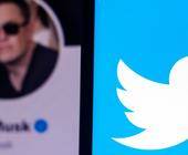 Elon Musk kauft Twitter