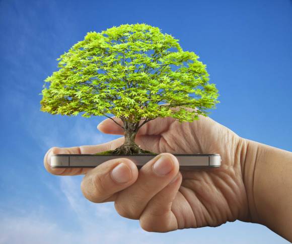 Baum wächst aus einem Smartphone 