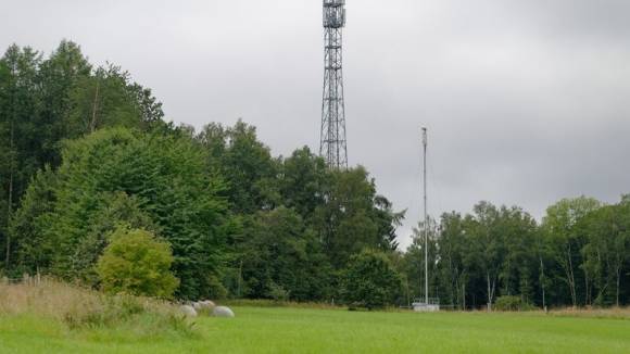 Zwei Funkmasten stehen am Waldrand im Westerwald 