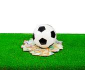 EM-Ball mit Geld
