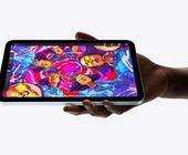 Apple iPad Mini