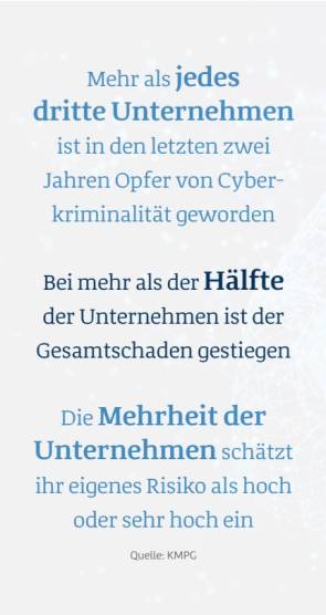 Statistik Cyberkriminalität