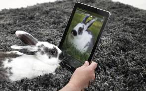 Cemix: Smartphones und Tablets sorgen für starkes Umsatzplus 