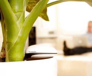 Wifi-Pflanzensensor von Koubachi