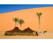 Zelte in der Wüste