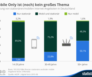 Nutzung von stationärem und mobilem Internet