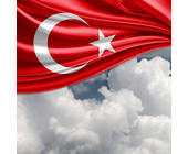 Fahne Türkei