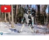 Atlas-Roboter der Google-Tochter Boston Dynamics
