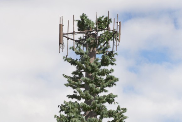 Antenne auf Hawaii