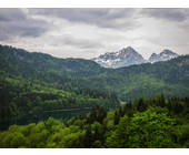 Bayerischer Wald