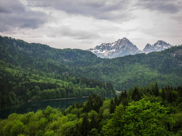 Bayerischer Wald 