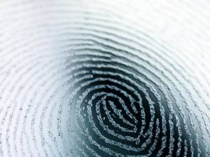 Fingerabdruck