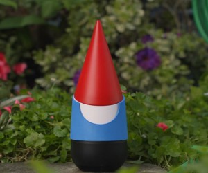 Google Gnome