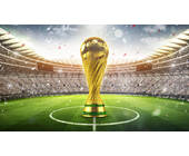 -Fußball-WM