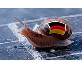 Deutsche Schnecke